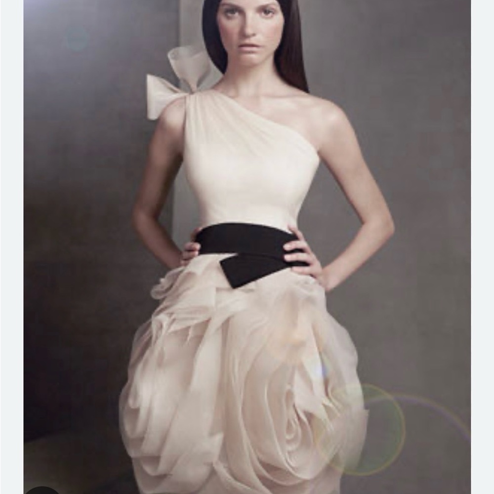 Vera wang bridesmaids/evening dress